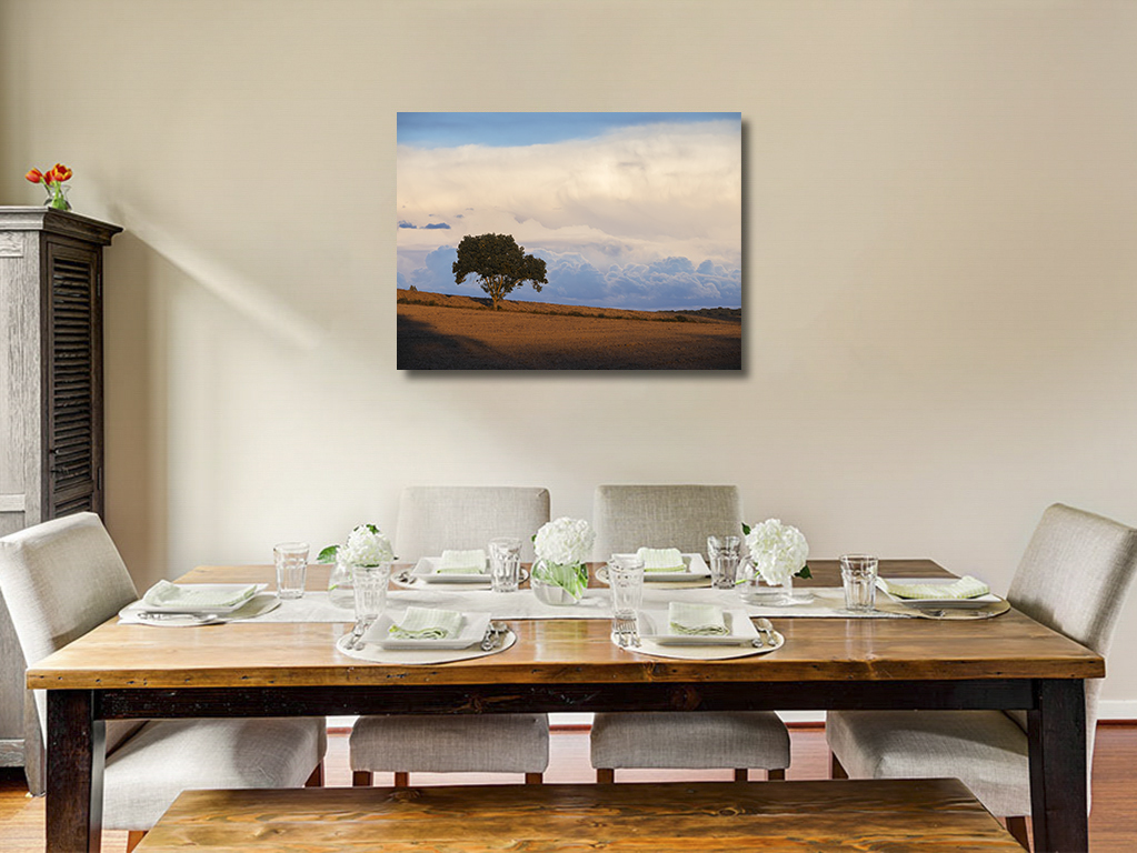 Libre dans sa tête – Image 6