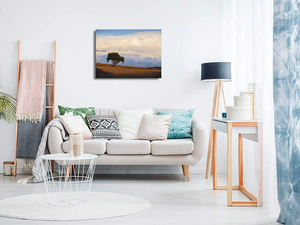 Libre dans sa tête – Image 8