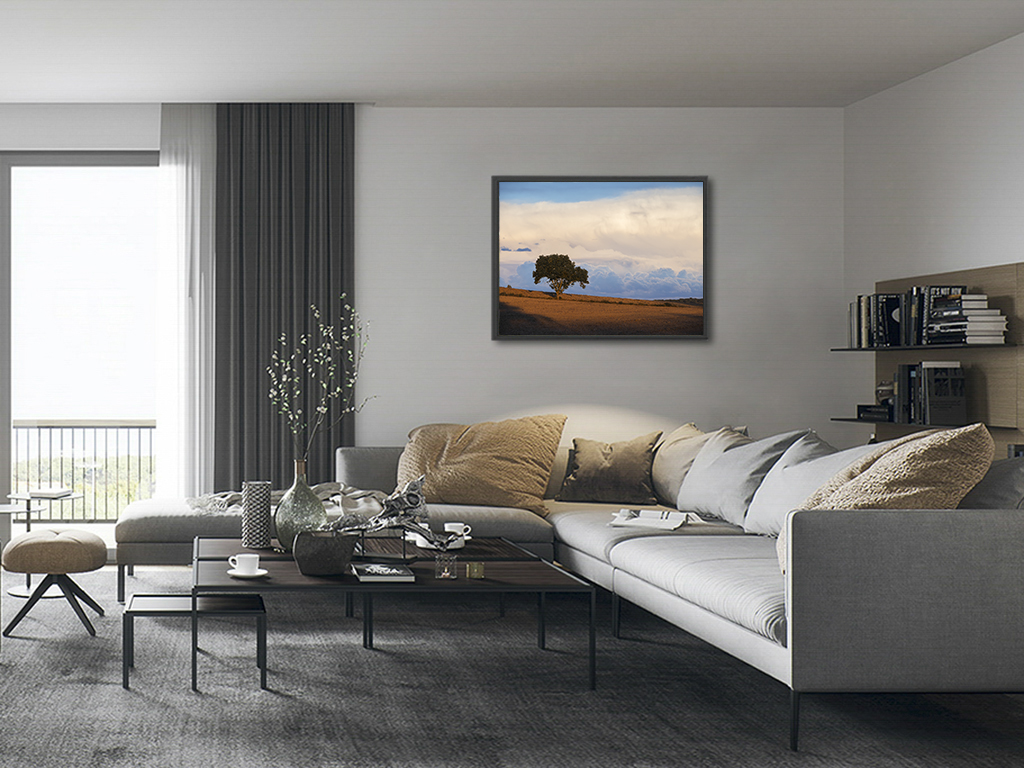 Libre dans sa tête – Image 5