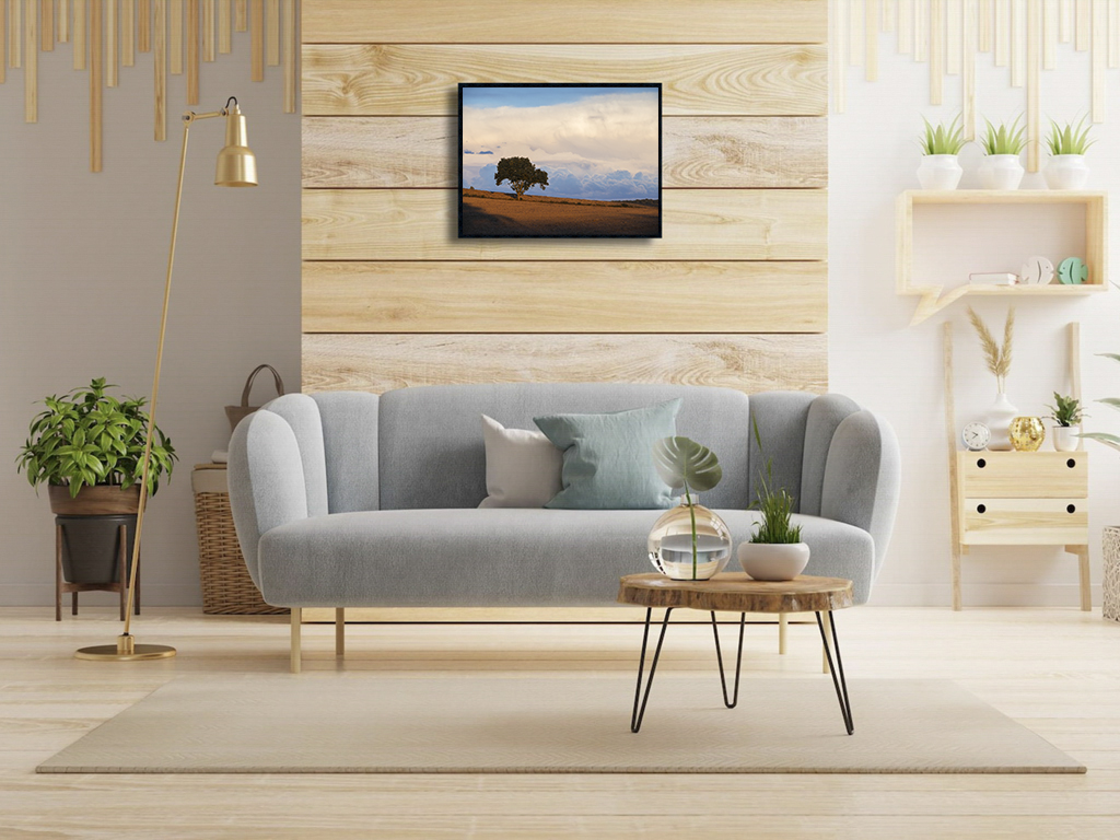 Libre dans sa tête – Image 2