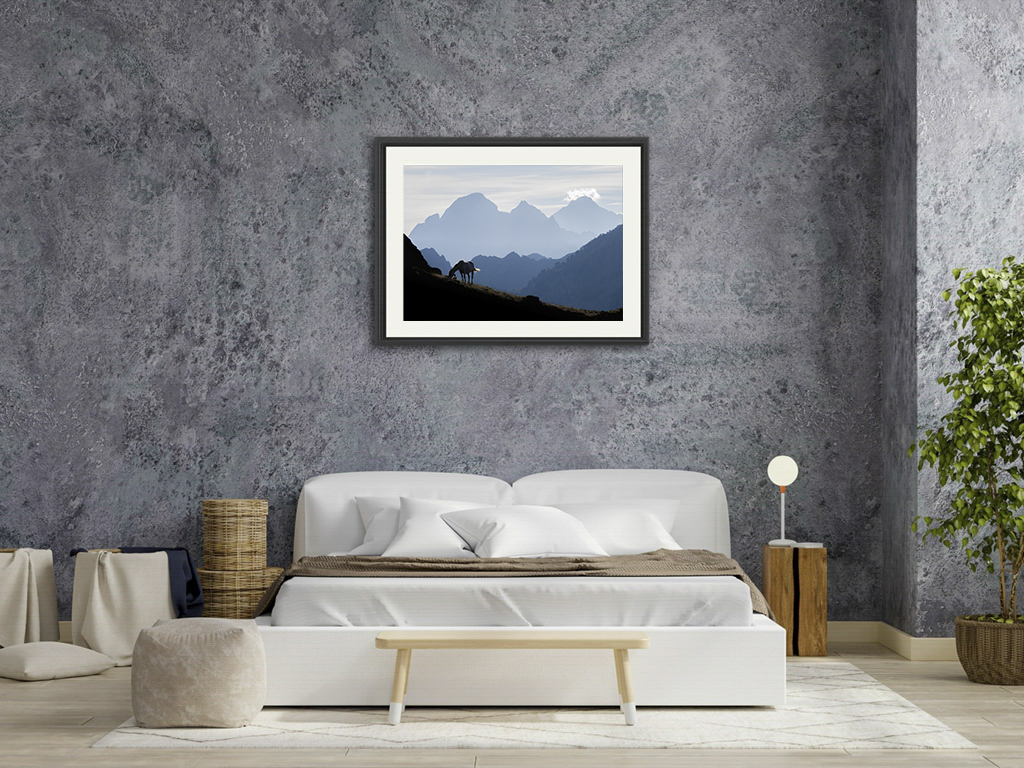 Petit bonheur de grand chemin – Image 7