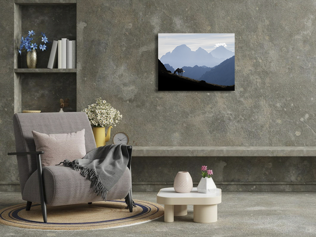 Petit bonheur de grand chemin – Image 3