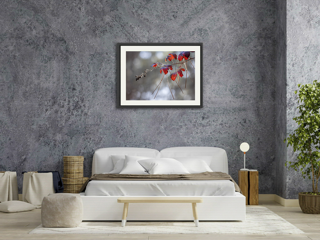 Piquées au vif – Image 7