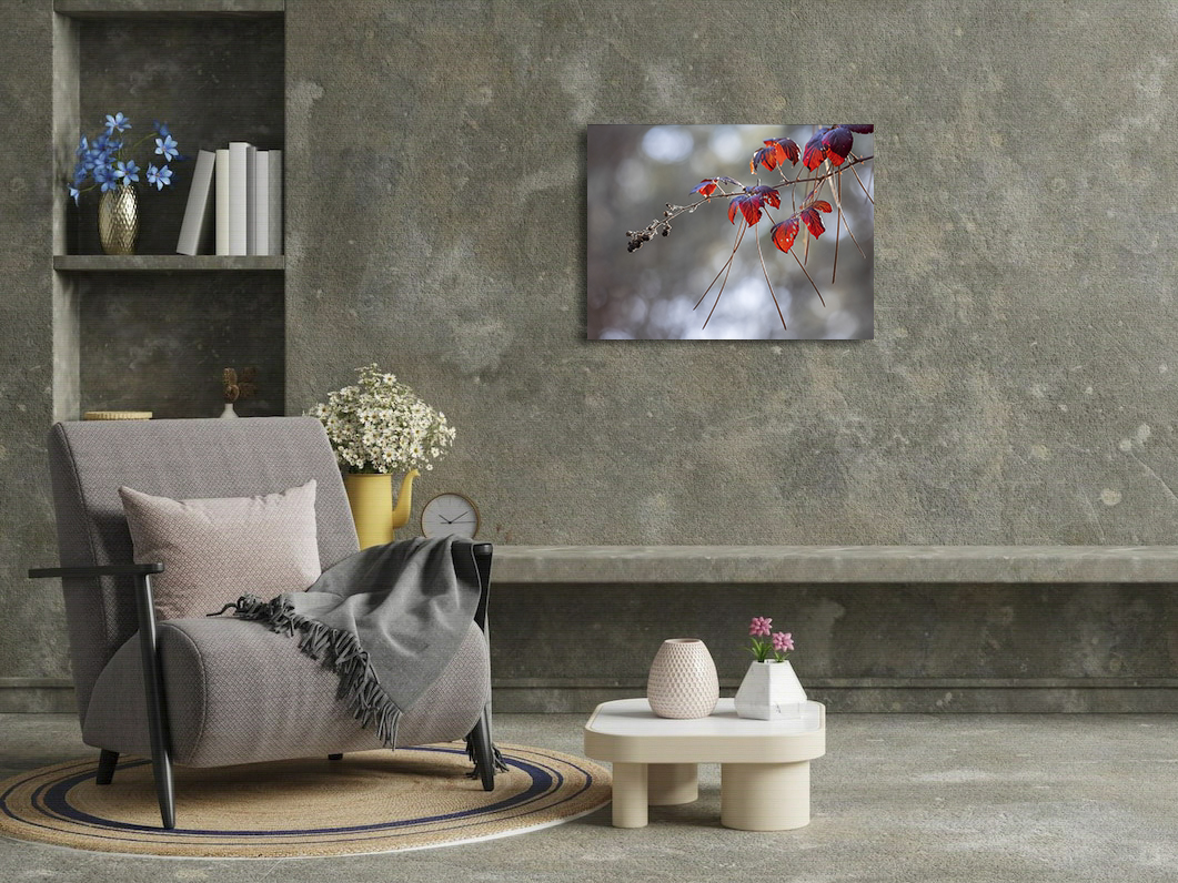 Piquées au vif – Image 3