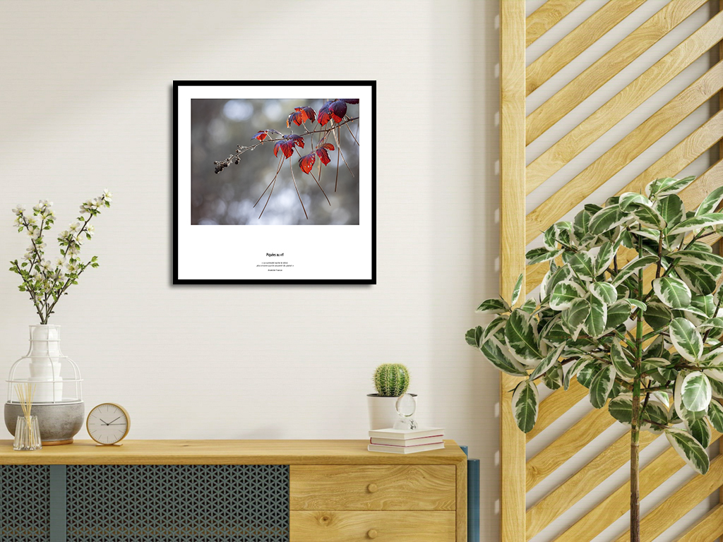 Piquées au vif – Image 4