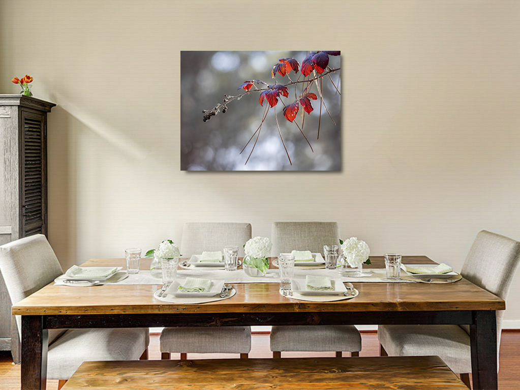 Piquées au vif – Image 6