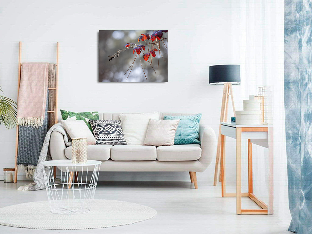 Piquées au vif – Image 8