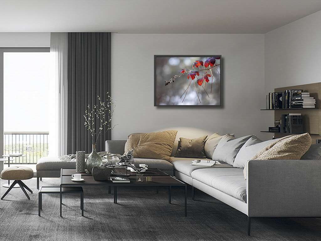 Piquées au vif – Image 5