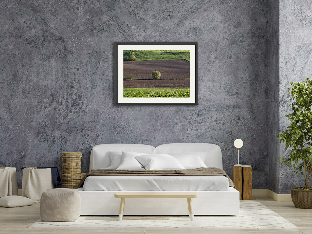 Point vert – Image 7