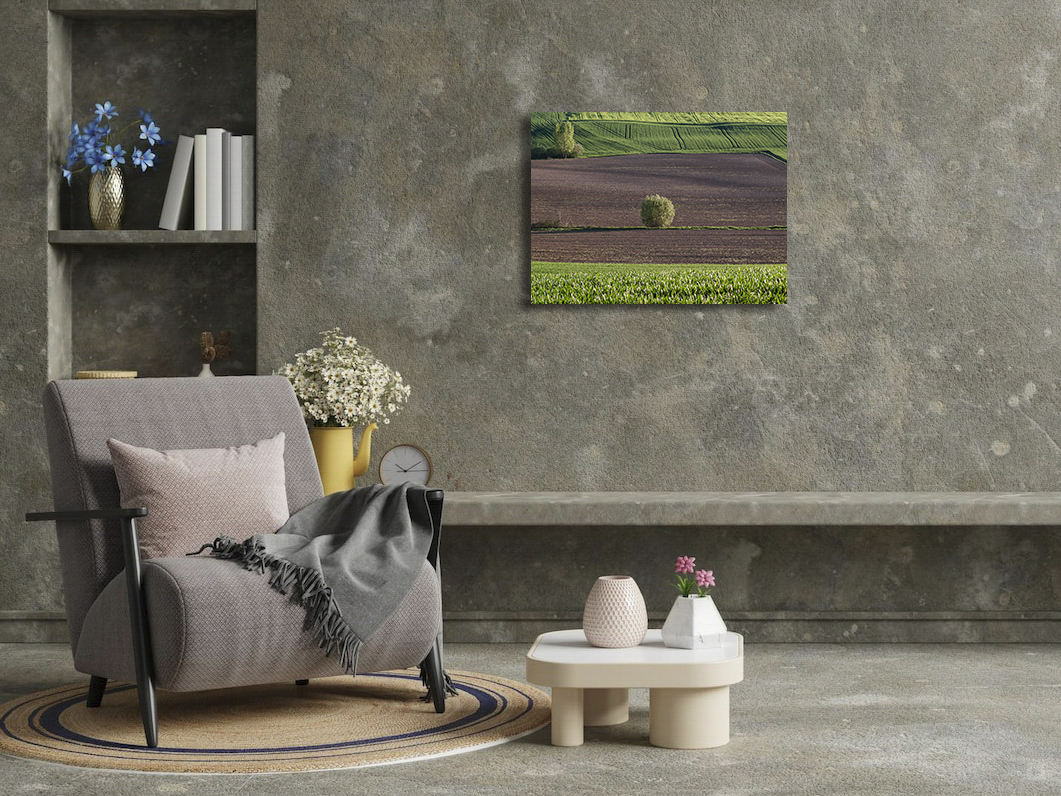 Point vert – Image 3