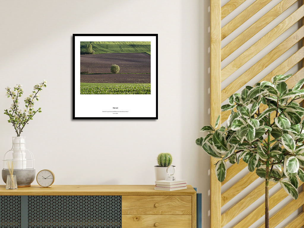 Point vert – Image 4