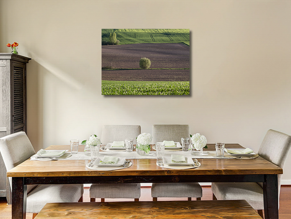 Point vert – Image 6