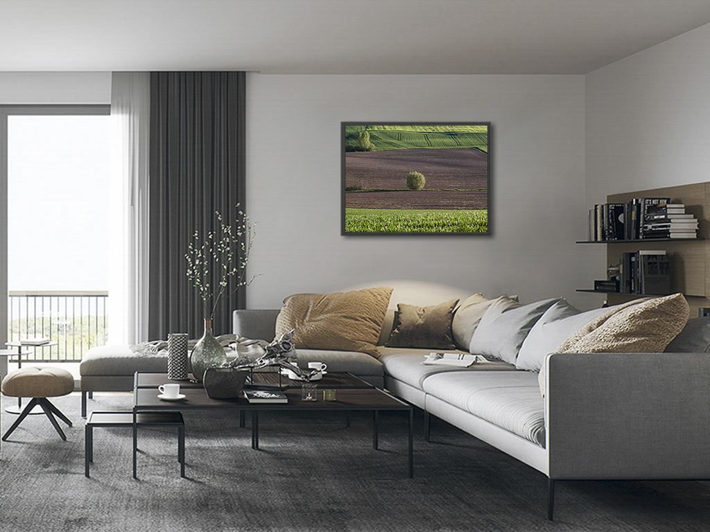 Point vert – Image 5