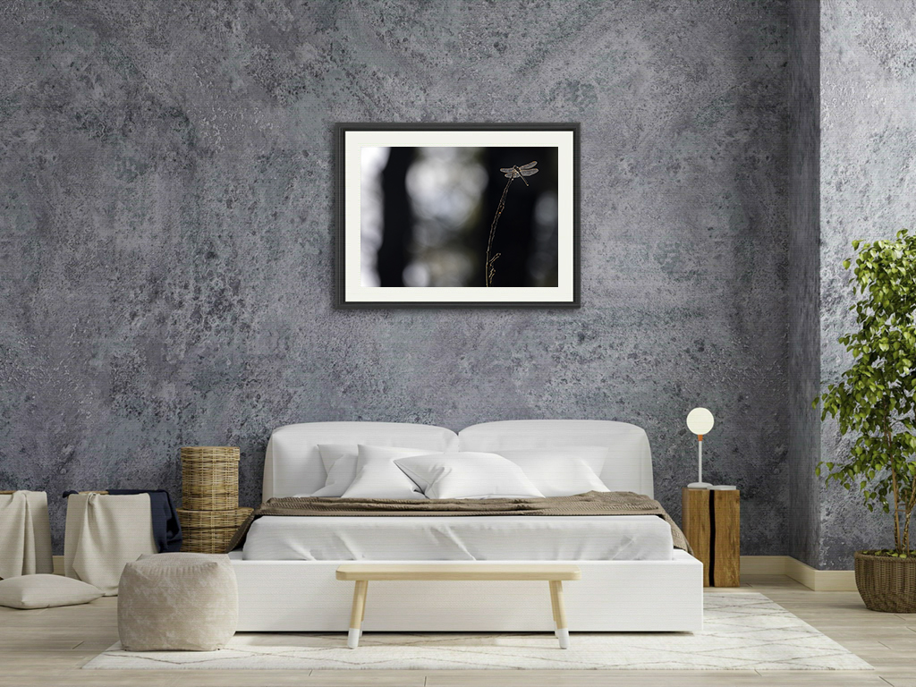 Que j'aime cette lumière d'ailes – Image 7