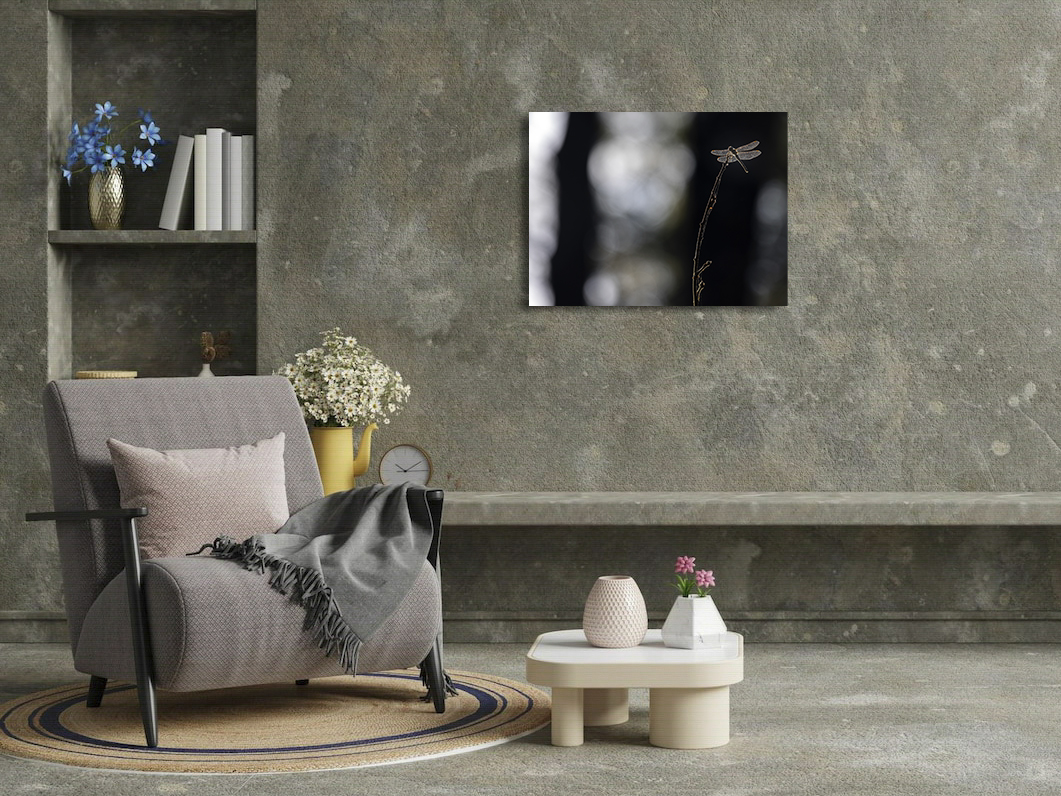 Que j'aime cette lumière d'ailes – Image 3