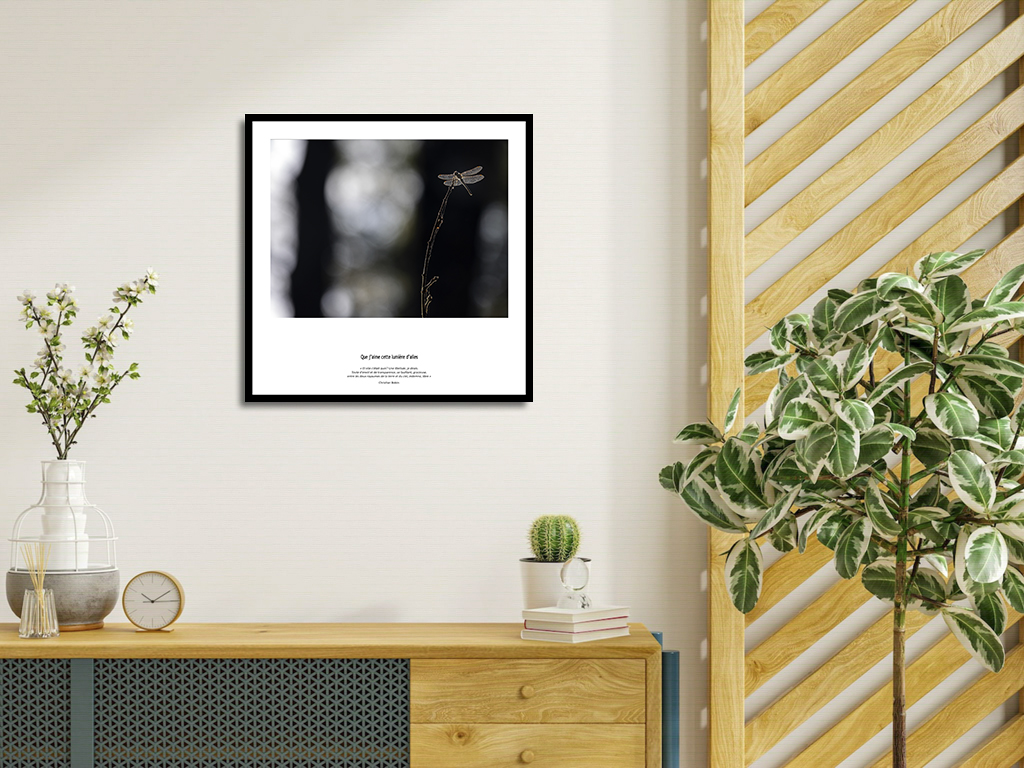 Que j'aime cette lumière d'ailes – Image 4