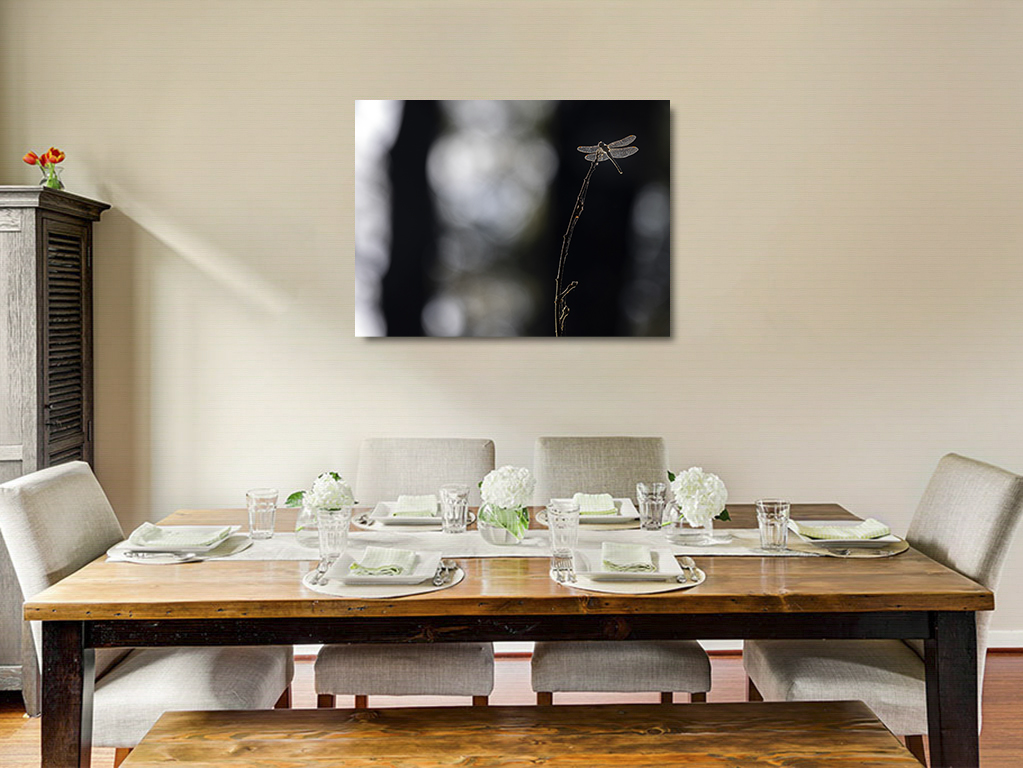 Que j'aime cette lumière d'ailes – Image 6