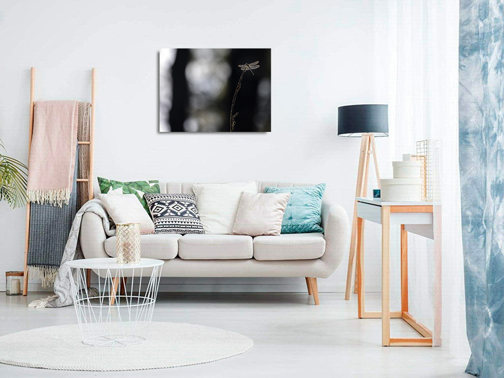 Que j'aime cette lumière d'ailes – Image 8