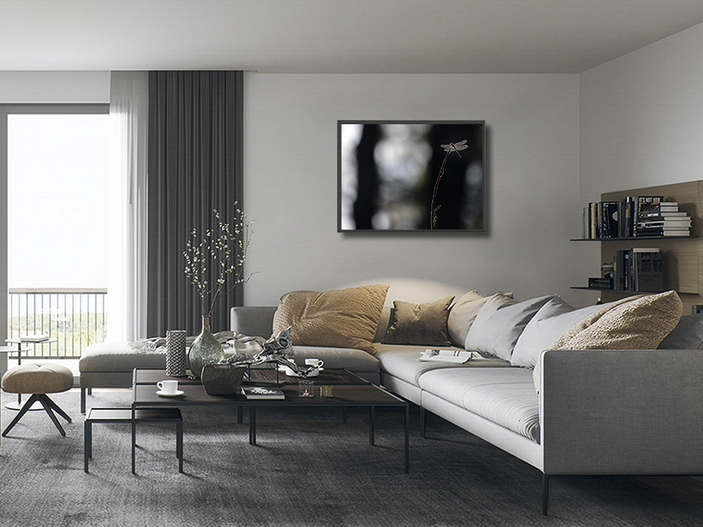 Que j'aime cette lumière d'ailes – Image 5