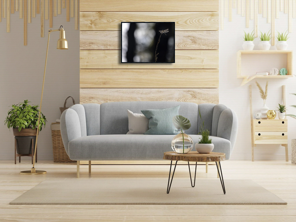 Que j'aime cette lumière d'ailes – Image 2