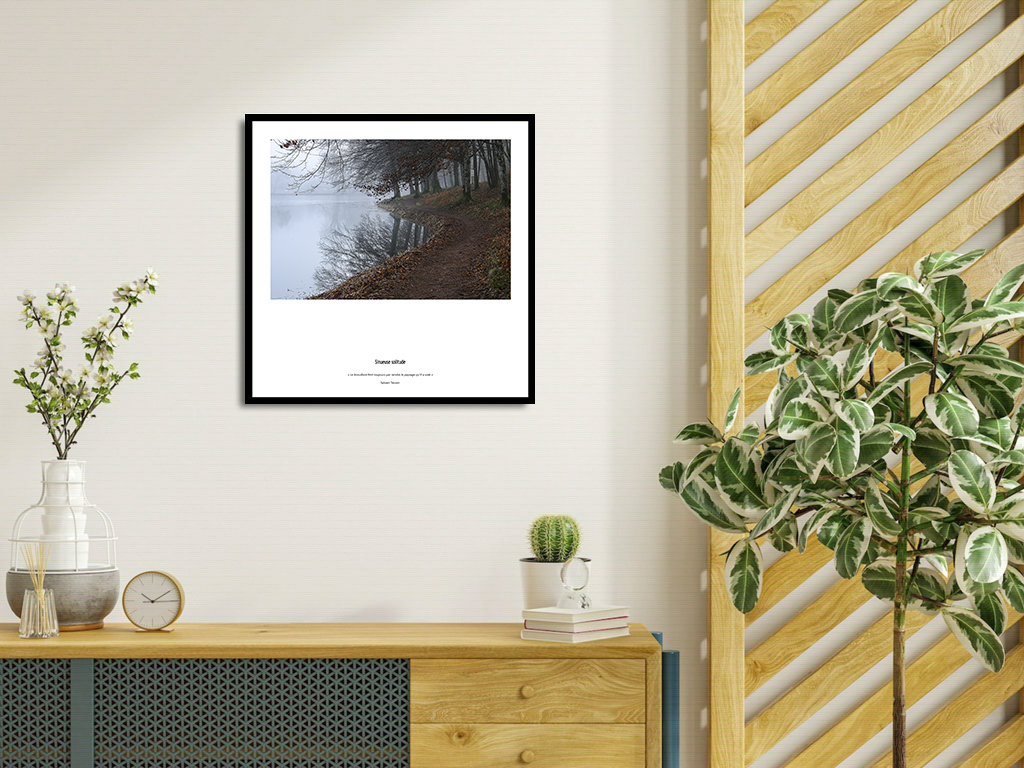 Sinueuse solitude – Image 4