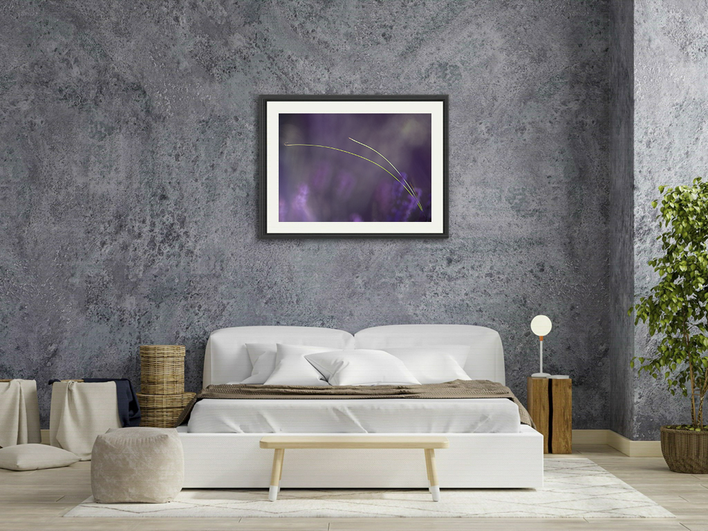 Un Sagittaire dans la bruyère – Image 7