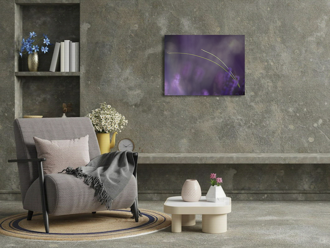 Un Sagittaire dans la bruyère – Image 3