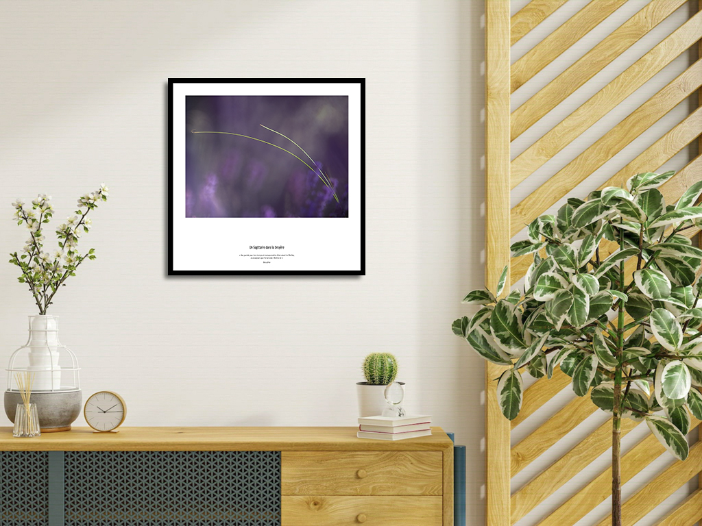 Un Sagittaire dans la bruyère – Image 4