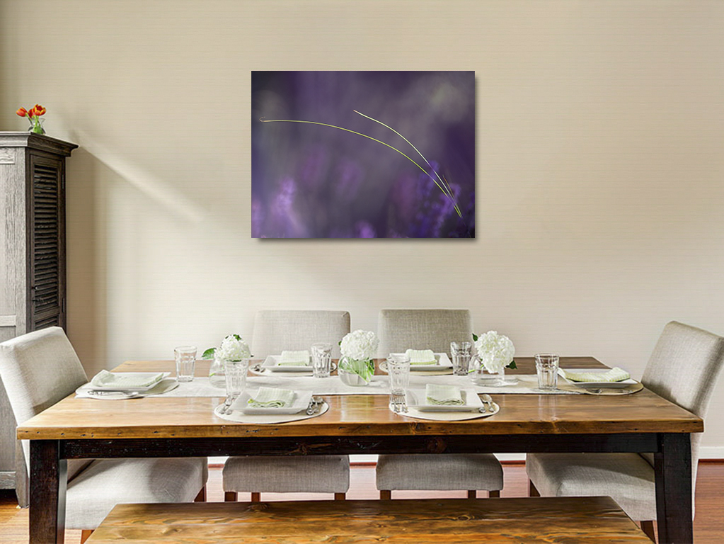 Un Sagittaire dans la bruyère – Image 6