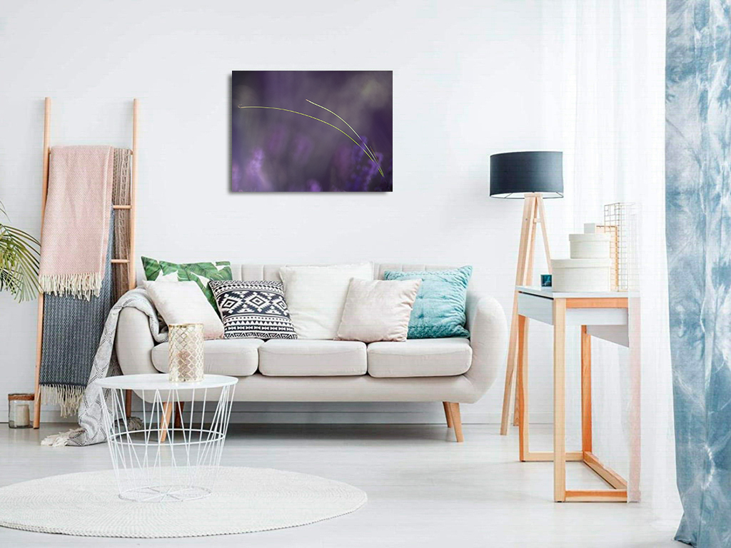 Un Sagittaire dans la bruyère – Image 8