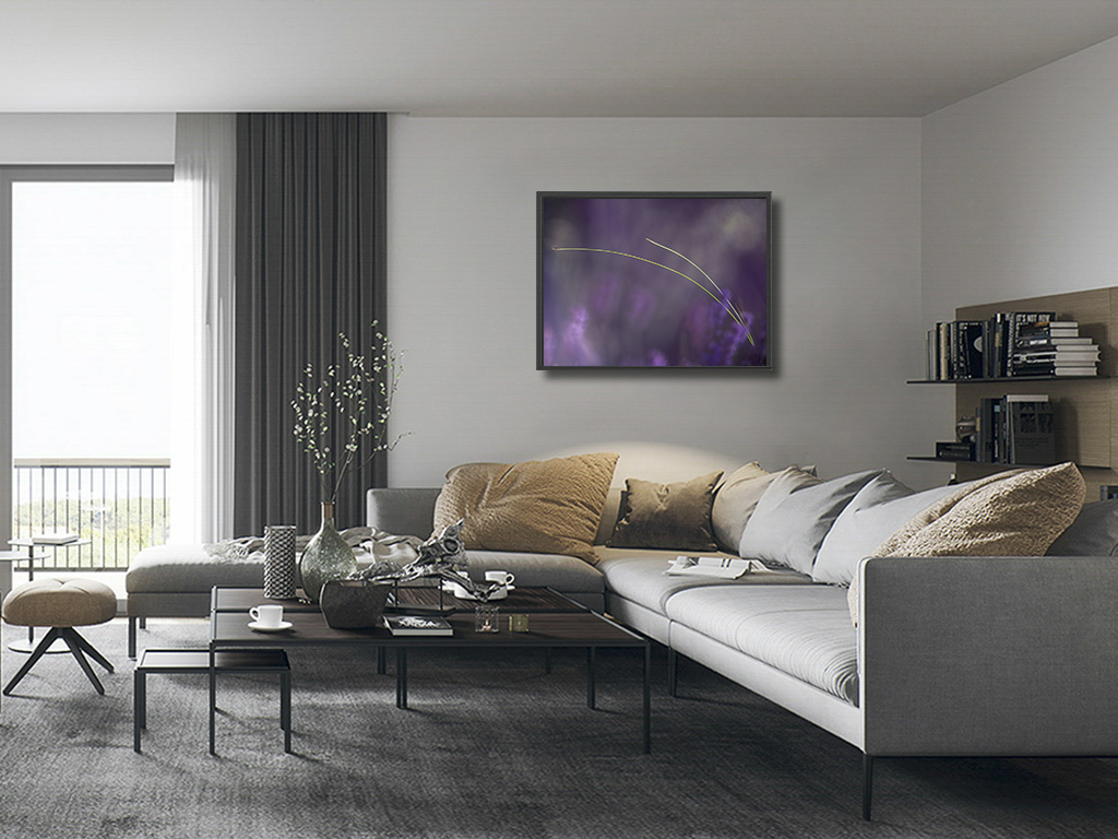 Un Sagittaire dans la bruyère – Image 5