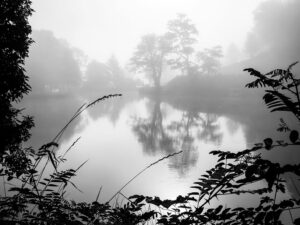 brume-matinale-malo-plivsko-lake-jajce-nature-bosnie