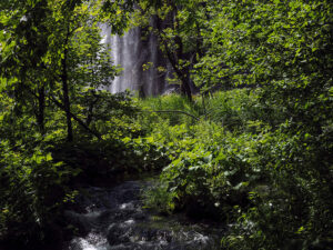 cascade-nature-vert-lac-plitvice-croatie