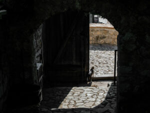 chat-encadrement-porte-voutee-rue-pavee-sarajevo-bosnie