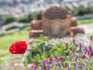 coquelicot-eglise-forteresse-berat-albanie
