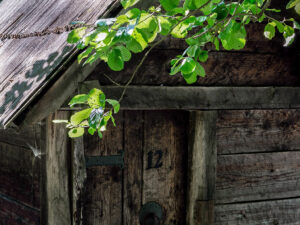 detail-moulin-bois-mlincici-plivsko-jajce-bosnie