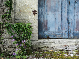 detail-plante-seuil-pierre-porte-bleue-rue