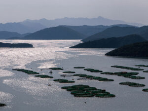 ferme-piscicole-lac-koman-albanie