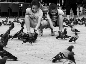 jeunes-filles-repas-pigeons-place-sarajevo-bosnie