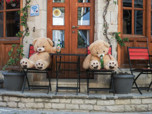 ours-peluche-terrasse-bar-humour-gjirokaster-albanie