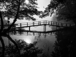 passerelle-arbres-malo-plivsko-lake-jajce-bosnie