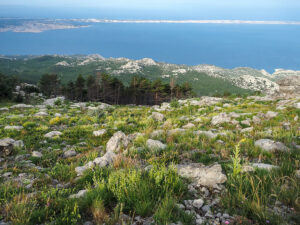 randonnee-nature-mer-adriatique-parc-velebit-croatie