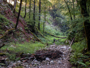 randonneur-vallon-foret-sentier-source-kupa-croatie