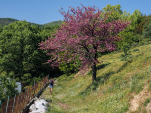 randonneuse-sentier-milies-pelion-grece