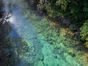 reflet-soleil-eau-verte-nature-riviere-kupa-croatie