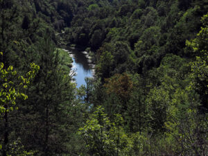 riviere-korana-foret-rastoke-nature-croatie