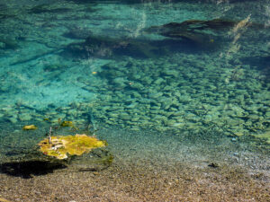 riviere-kupa-croatie