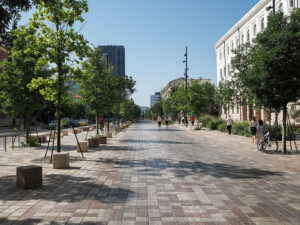 rue-principale-pavee-arboree-tirana-albanie