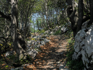 sentier-nature-randonnee-sous-bois-parc-risjnak-croatie