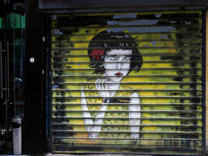street-art-portrait-femme-porte-garage-tirana-albanie